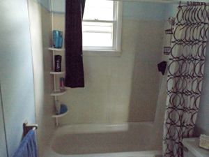 Bathroom Tour and Project Plans