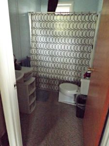 Bathroom Tour and Project Plans