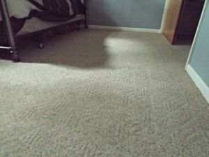 DIY Carpet Cleaning | Closet Side After