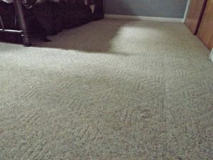 DIY Carpet Cleaning | Closet Side Before