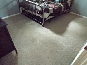 DIY Carpet Cleaning | Bedroom After