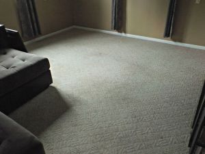 DIY Carpet Cleaning | LR Angle 2 After