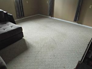 DIY Carpet Cleaning | LR Angle 2 Before