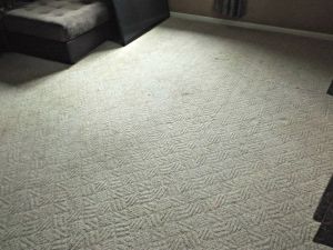 DIY Carpet Cleaning | LR Angle 3 After