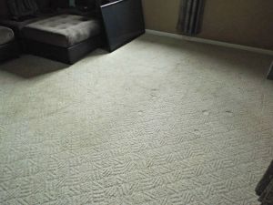 DIY Carpet Cleaning | LR Angle 3 Before