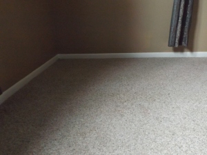 DIY Carpet Cleaning | LR Angle 4 After