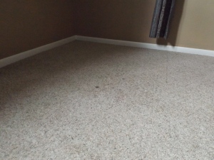 DIY Carpet Cleaning | LR Angle 4 Before